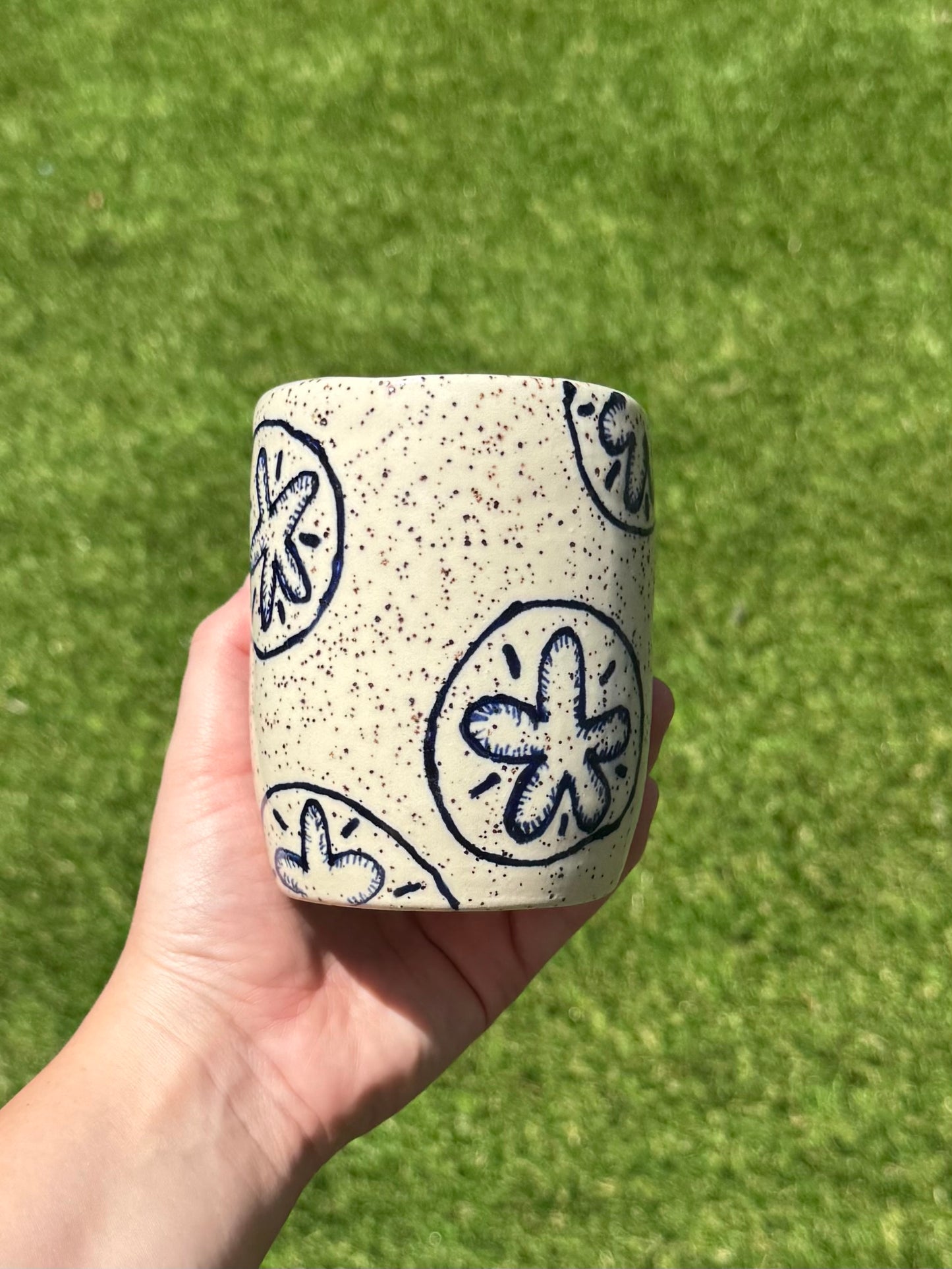 A Sand Dollar For Your Thoughts